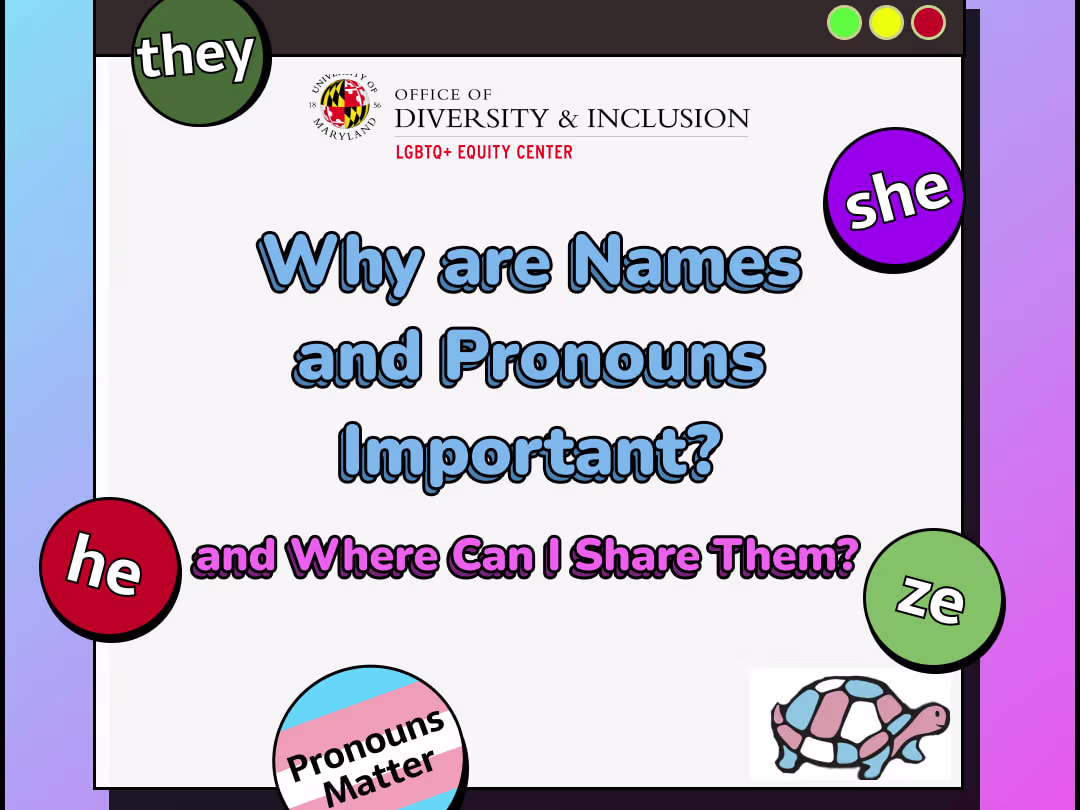 Placeholder project card media