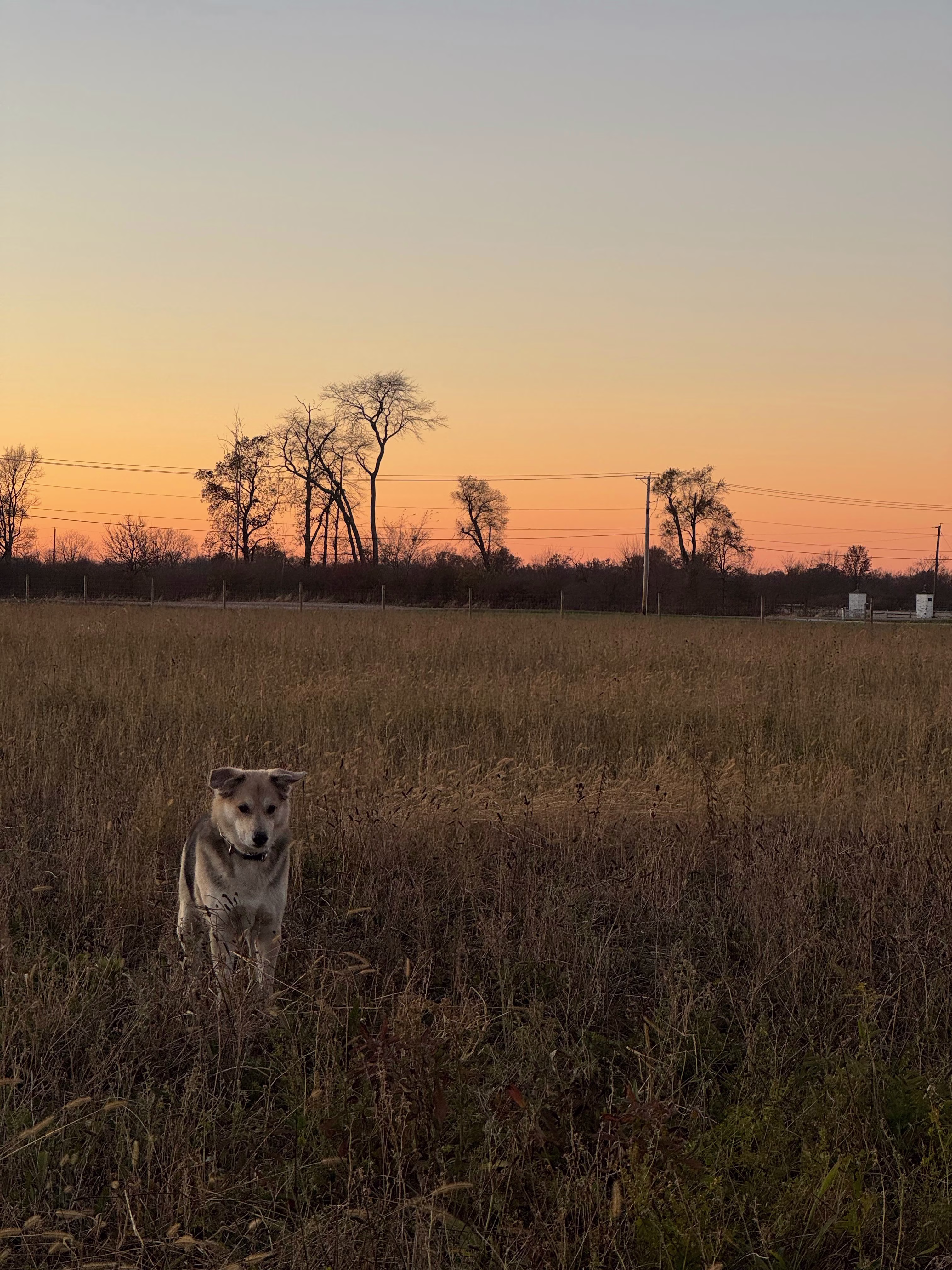 Placeholder project card media