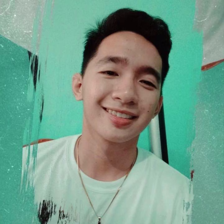 Placeholder project card media