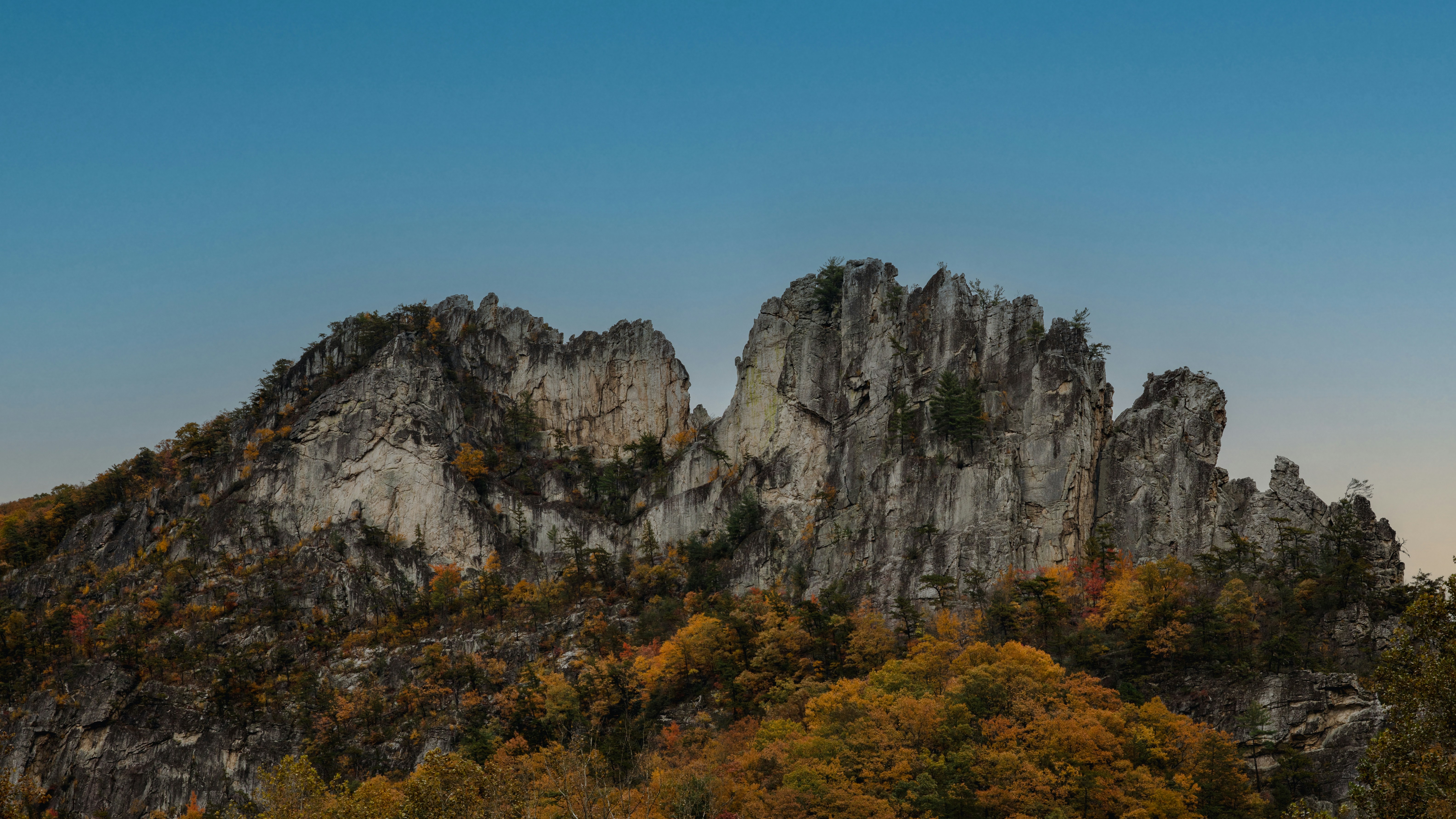 Still from the Arbórea film — forested hills at dusk