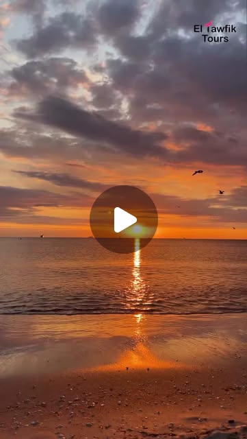 Placeholder project card media