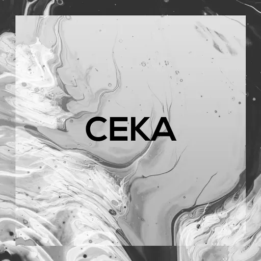 Ckqa Design's avatar