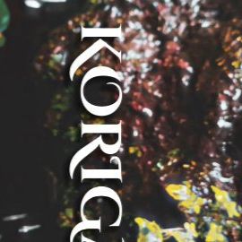 Placeholder project card media