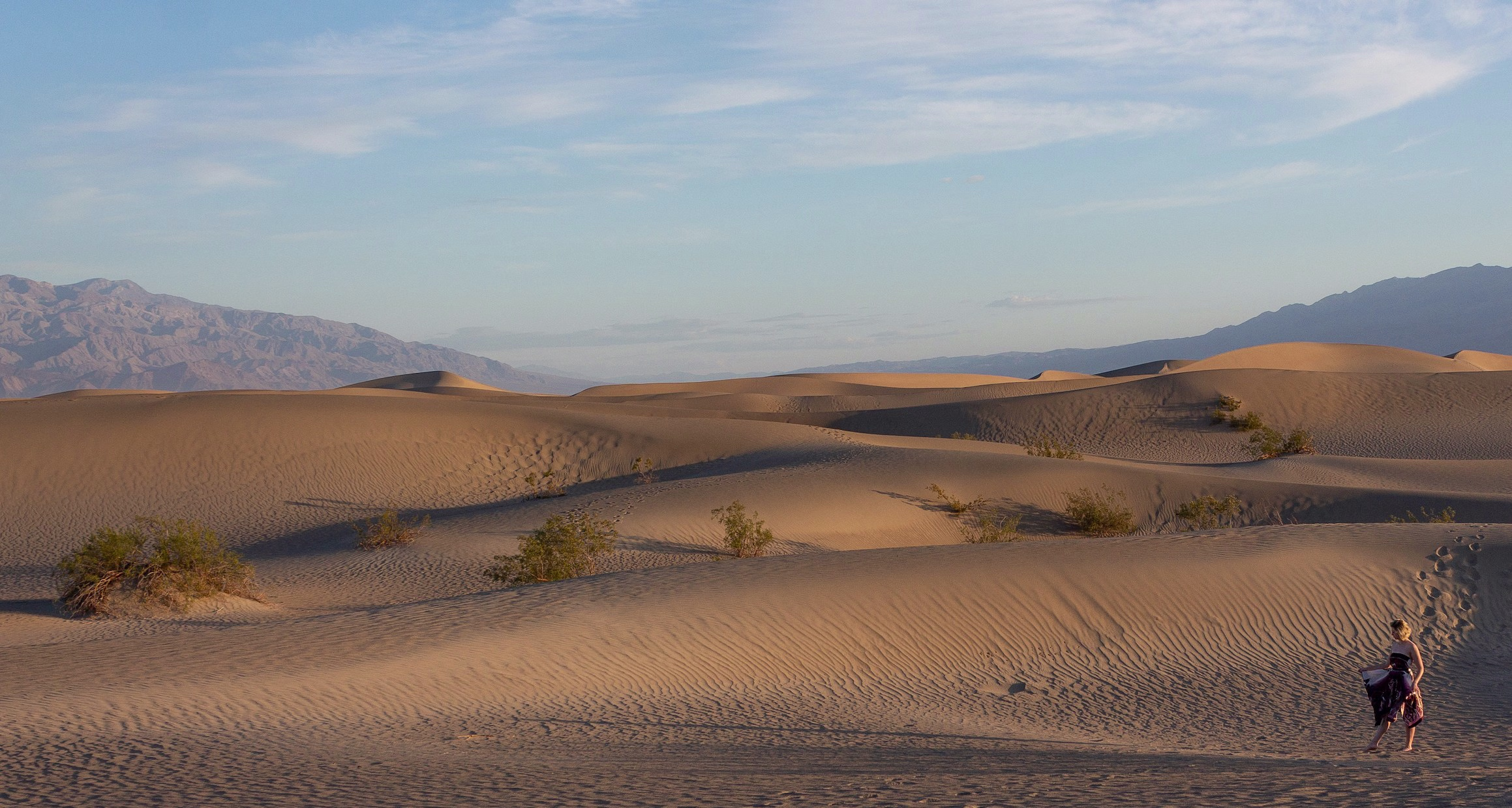 Placeholder project card media