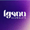 Iyanu Oluwaleye logo