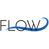 Flow Immersive