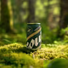 Celtic soul water  logo