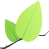 Leaflet