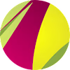 Corel Vector