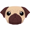 Pug
