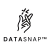 DataSnap logo