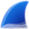 Wireshark