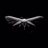 Unmoth logo