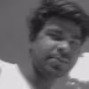 Ravi Jha
