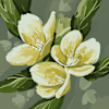 Olena's avatar