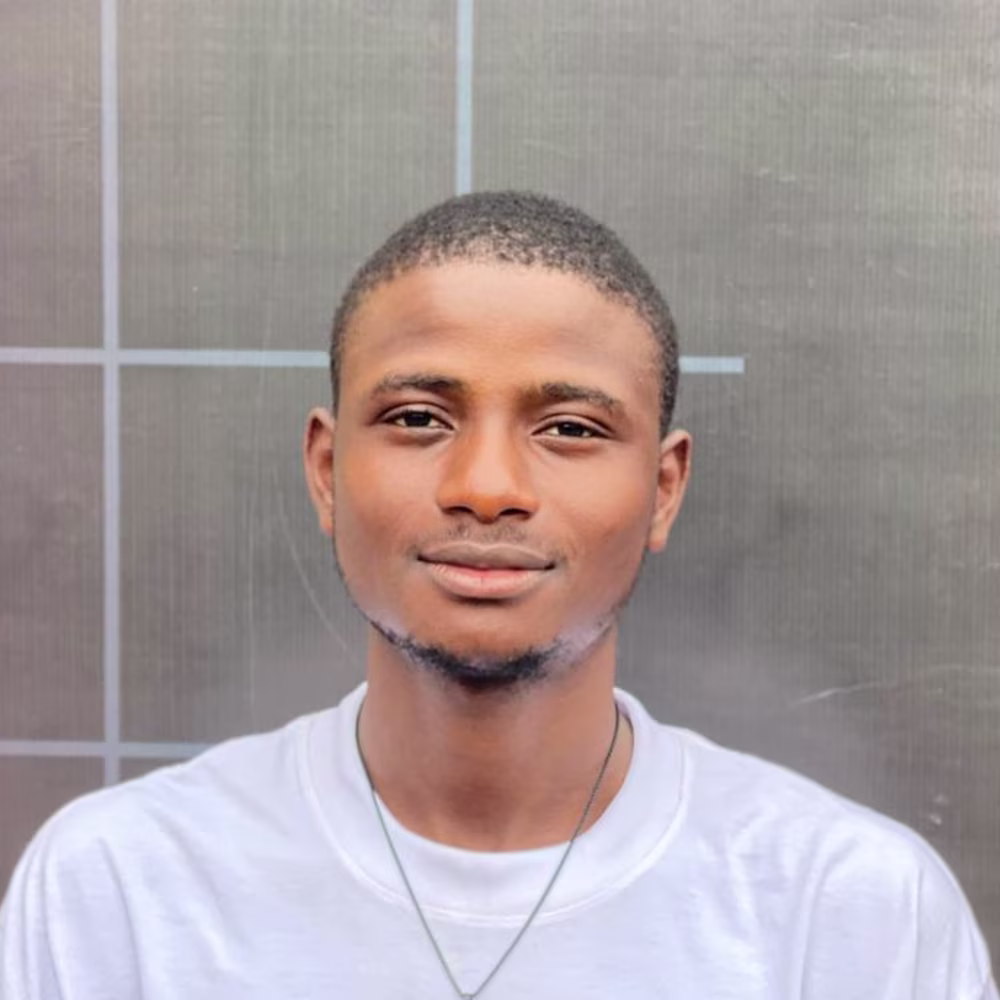 Lumemight Digitals 2