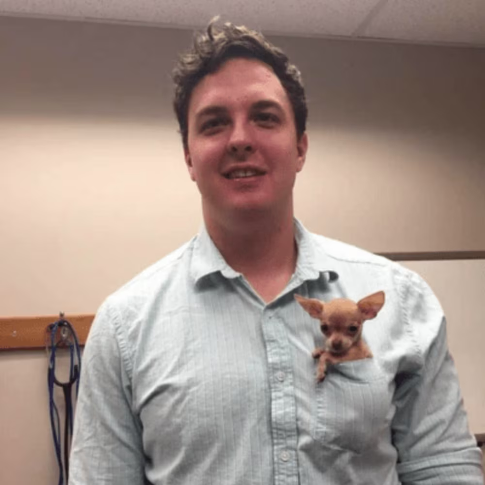 Logan | Digital Tabby