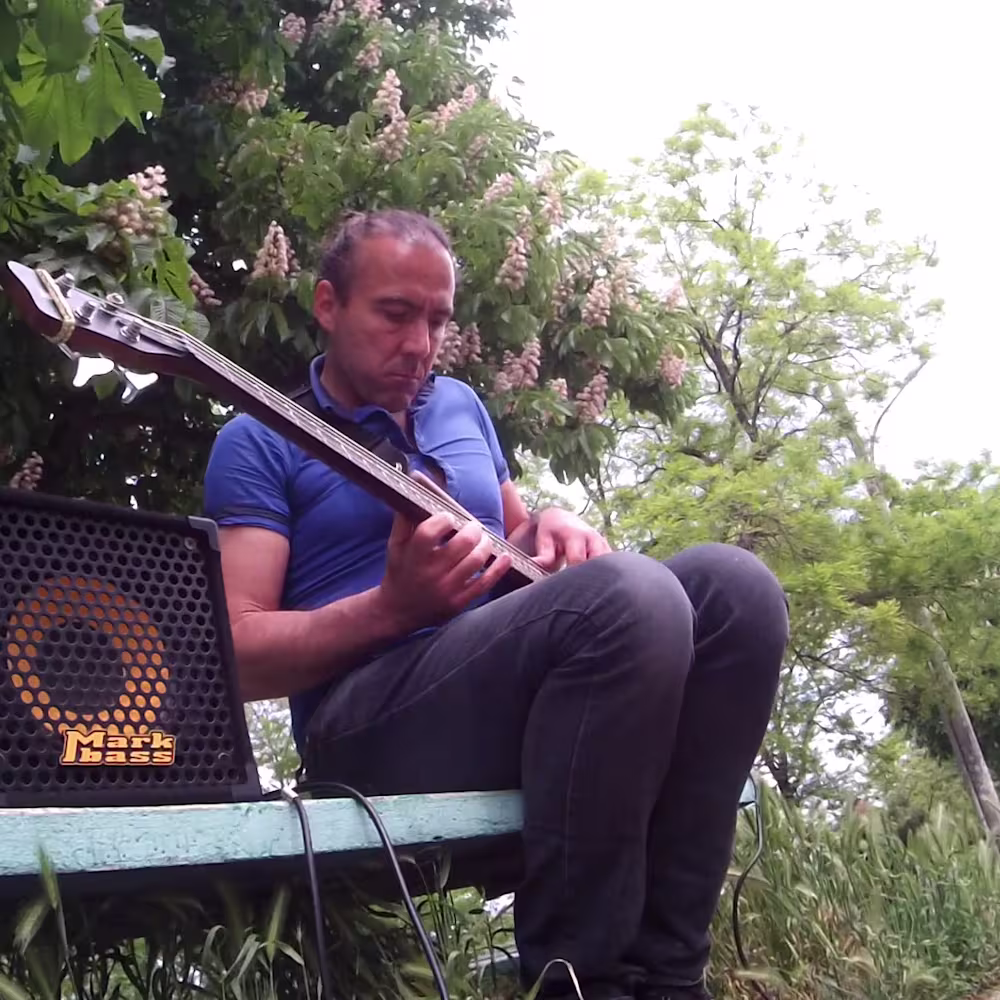 Song of love bass session musician