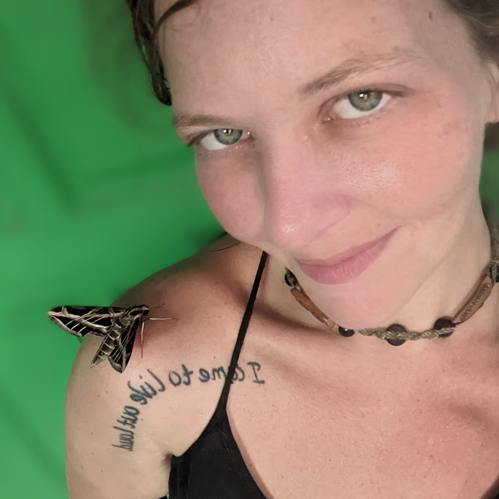 Allie Amanda Baumeister