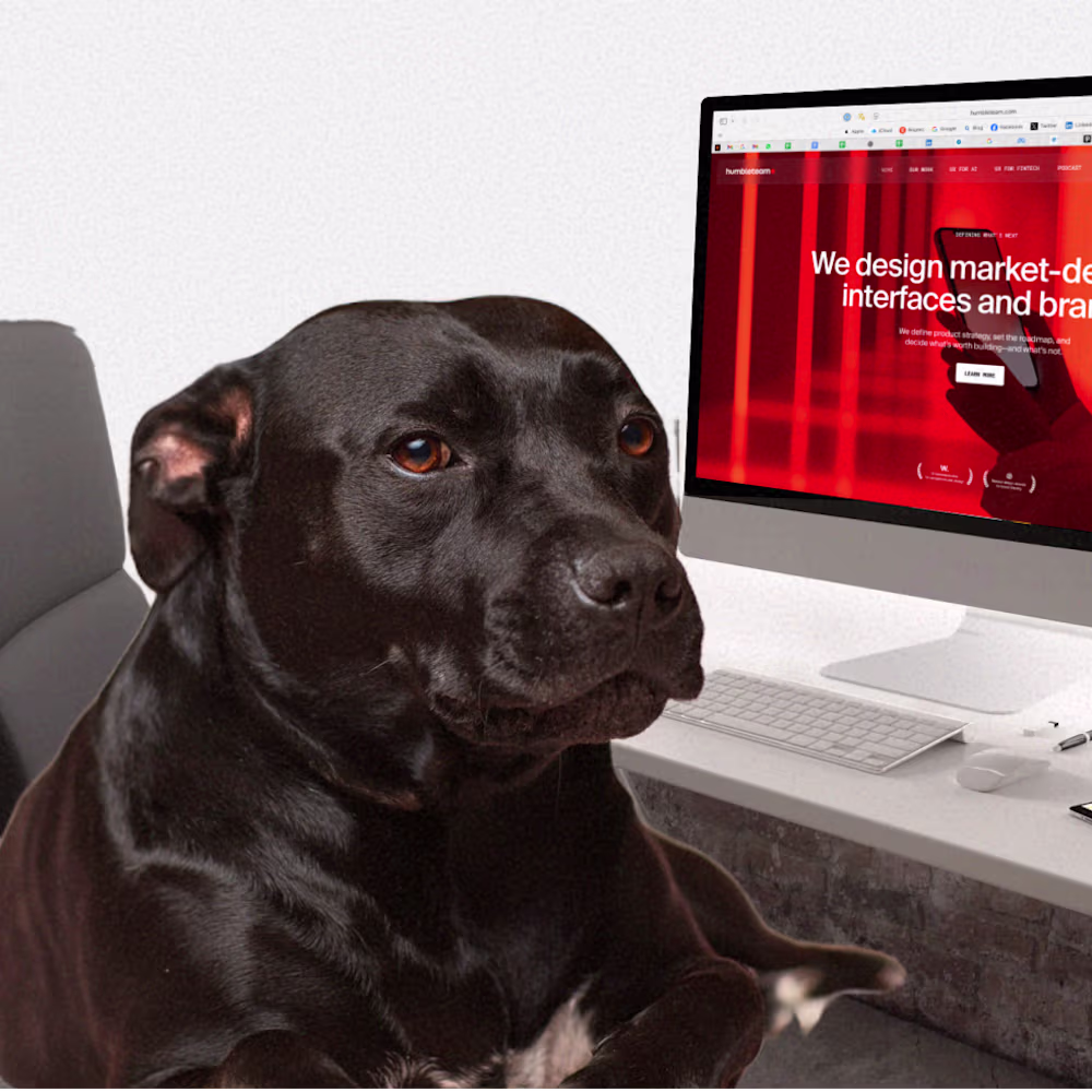 Lay UX/UI and branding