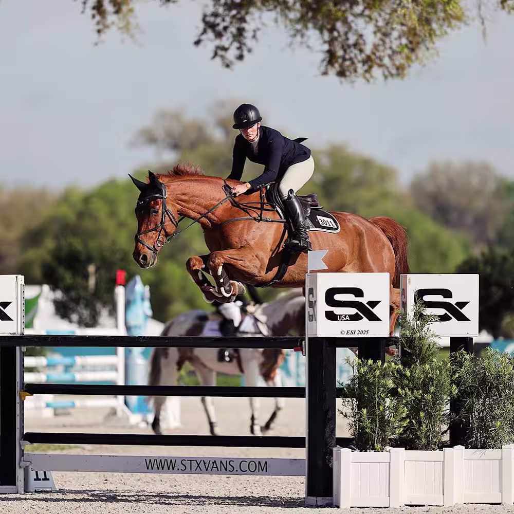 Holly Russell Donovan