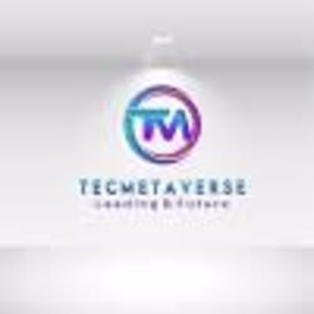 TecMetaVerse Company