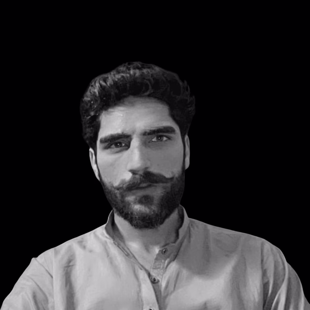 Zahid Butt (JavaScript | Replit Expert)