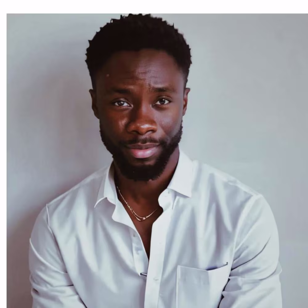 Afolabi Emmanuel  Damilola