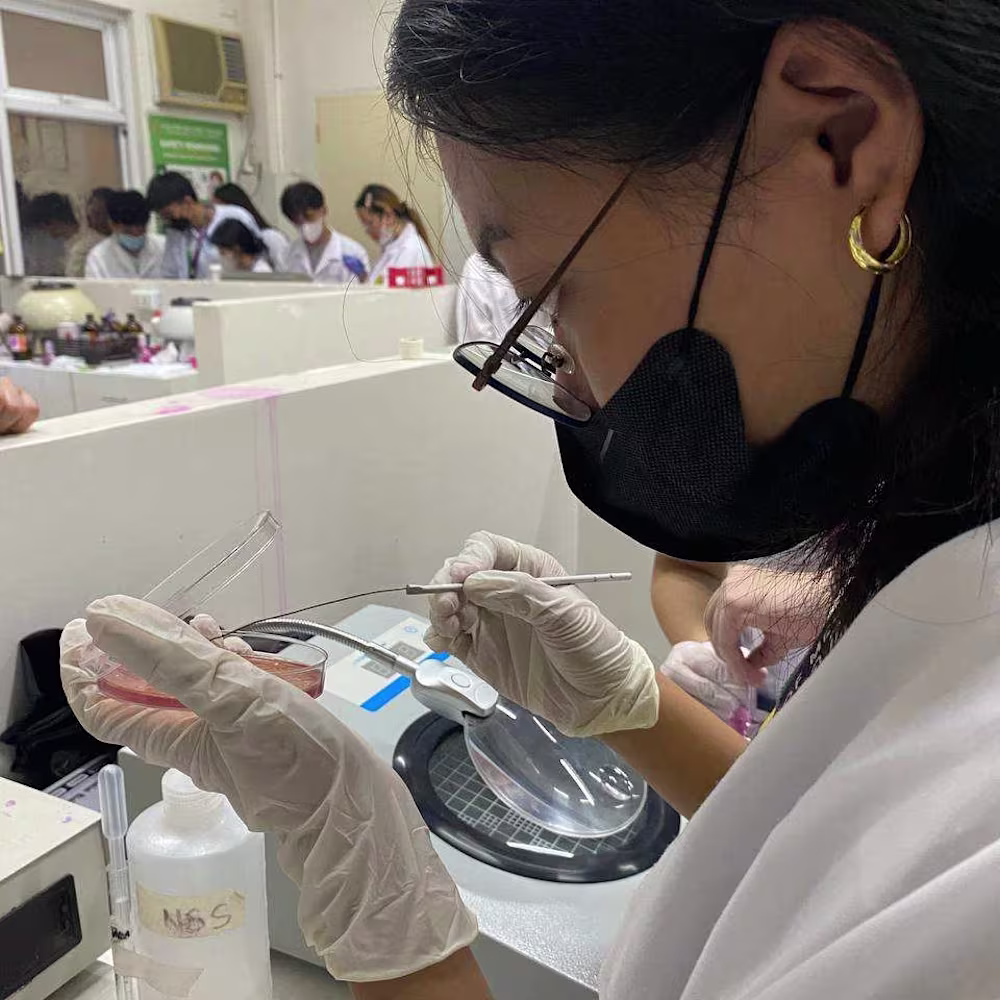 Shane Anne  Ordeñez 