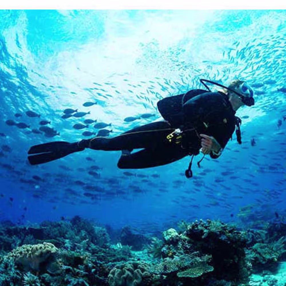 Colbaugh Kenneth Andrew