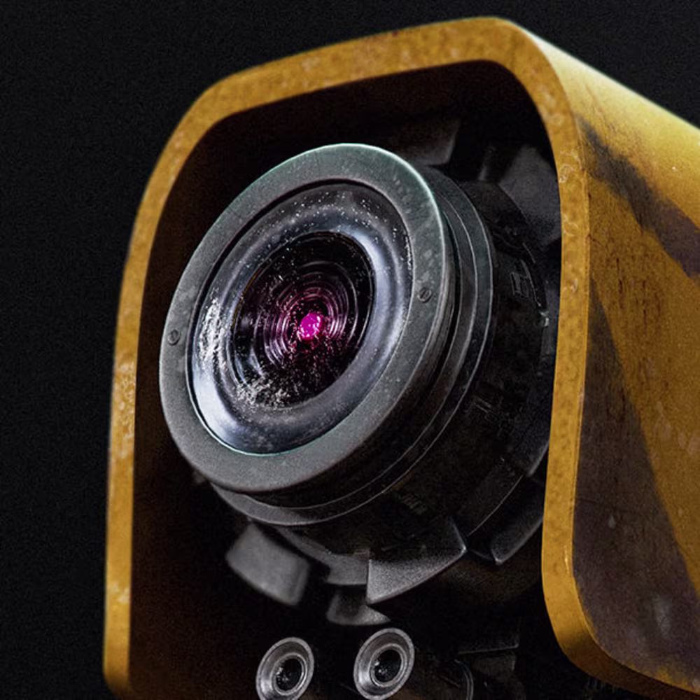 João Alberto  Junior