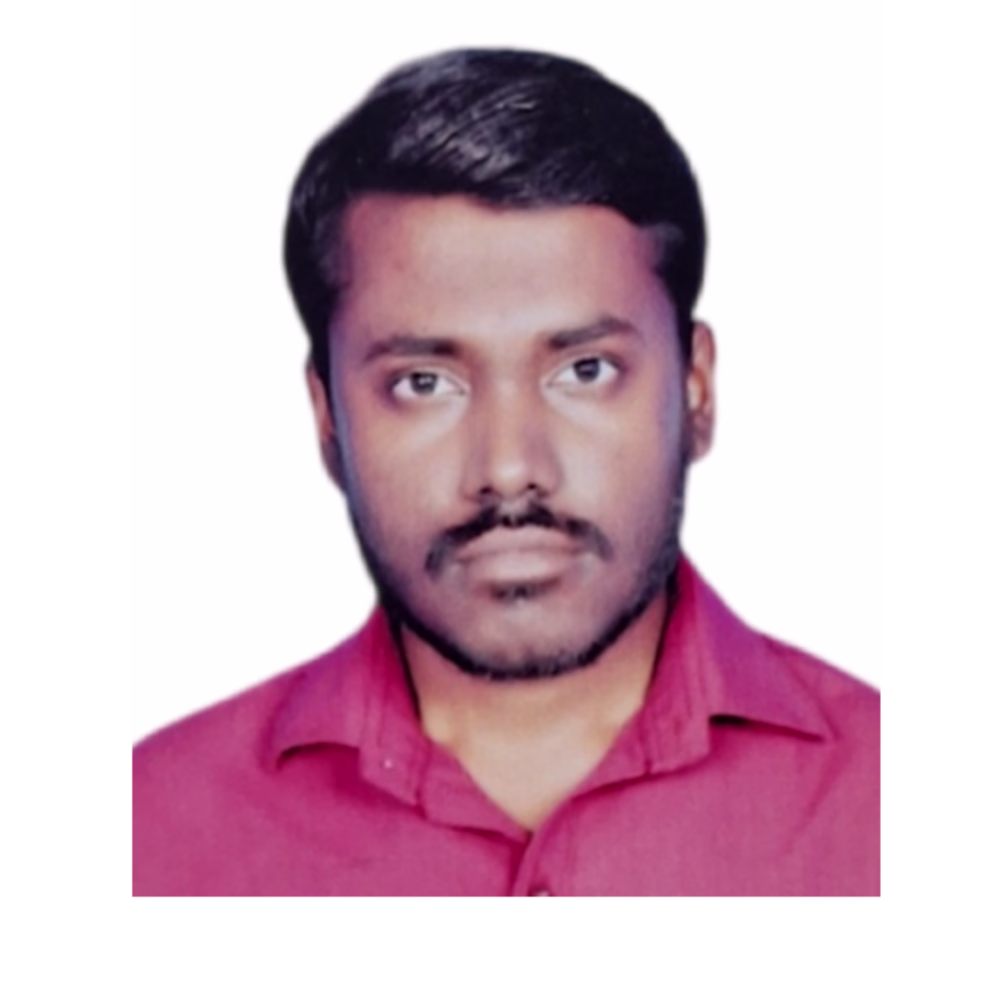 V Nallu Swamy