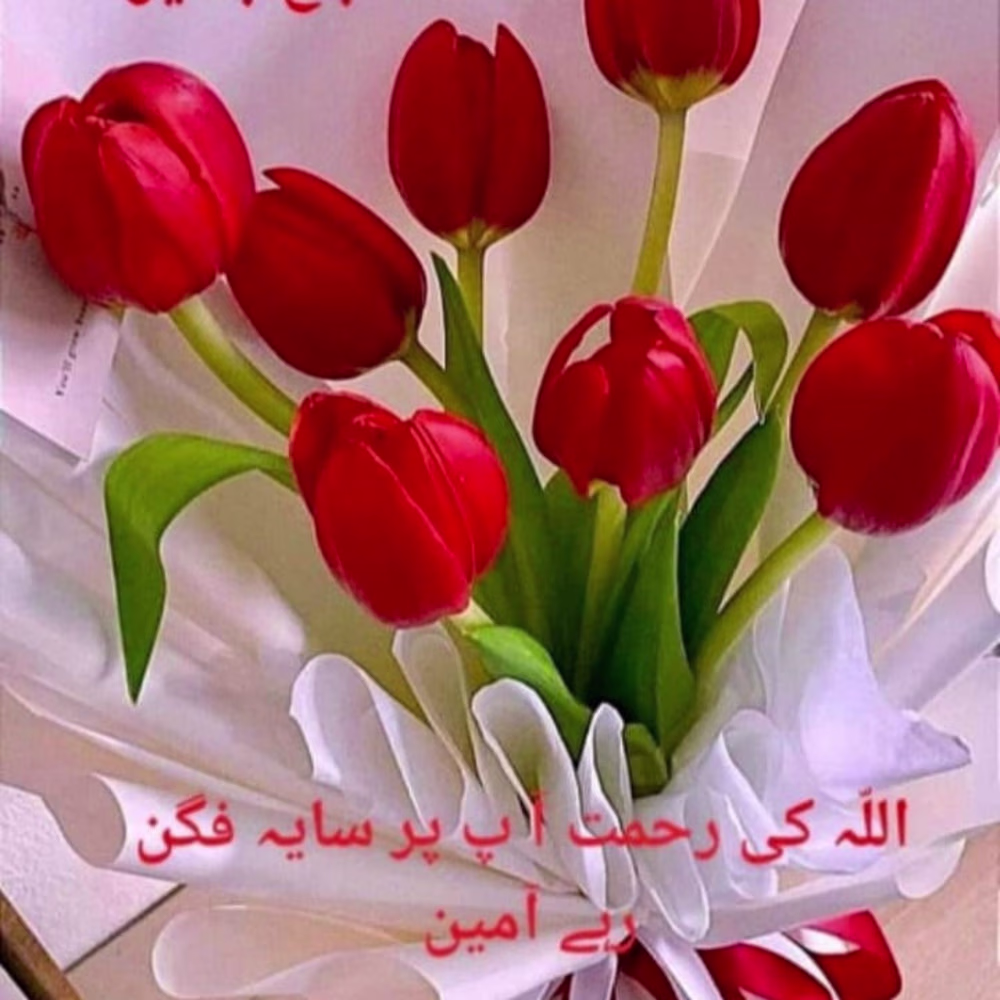 Ali Hassan