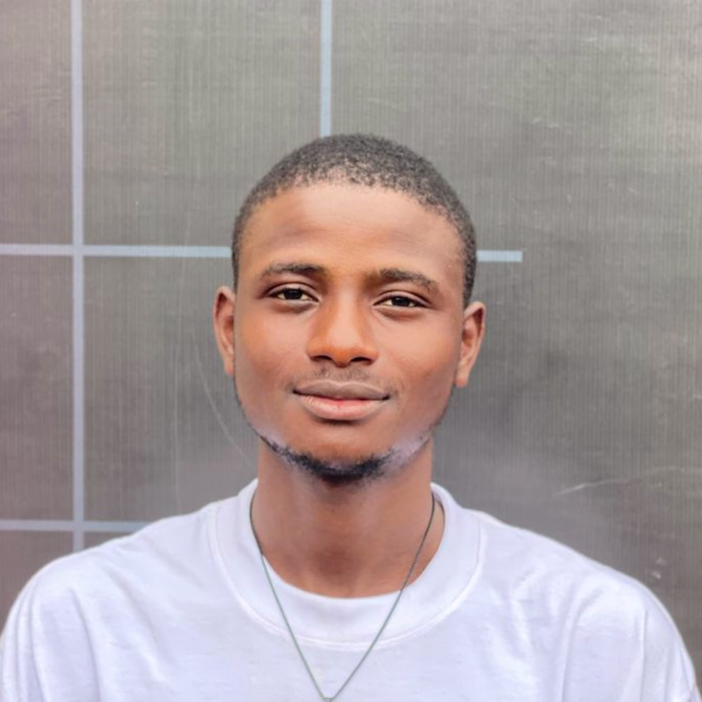 Lumemight Digitals 2