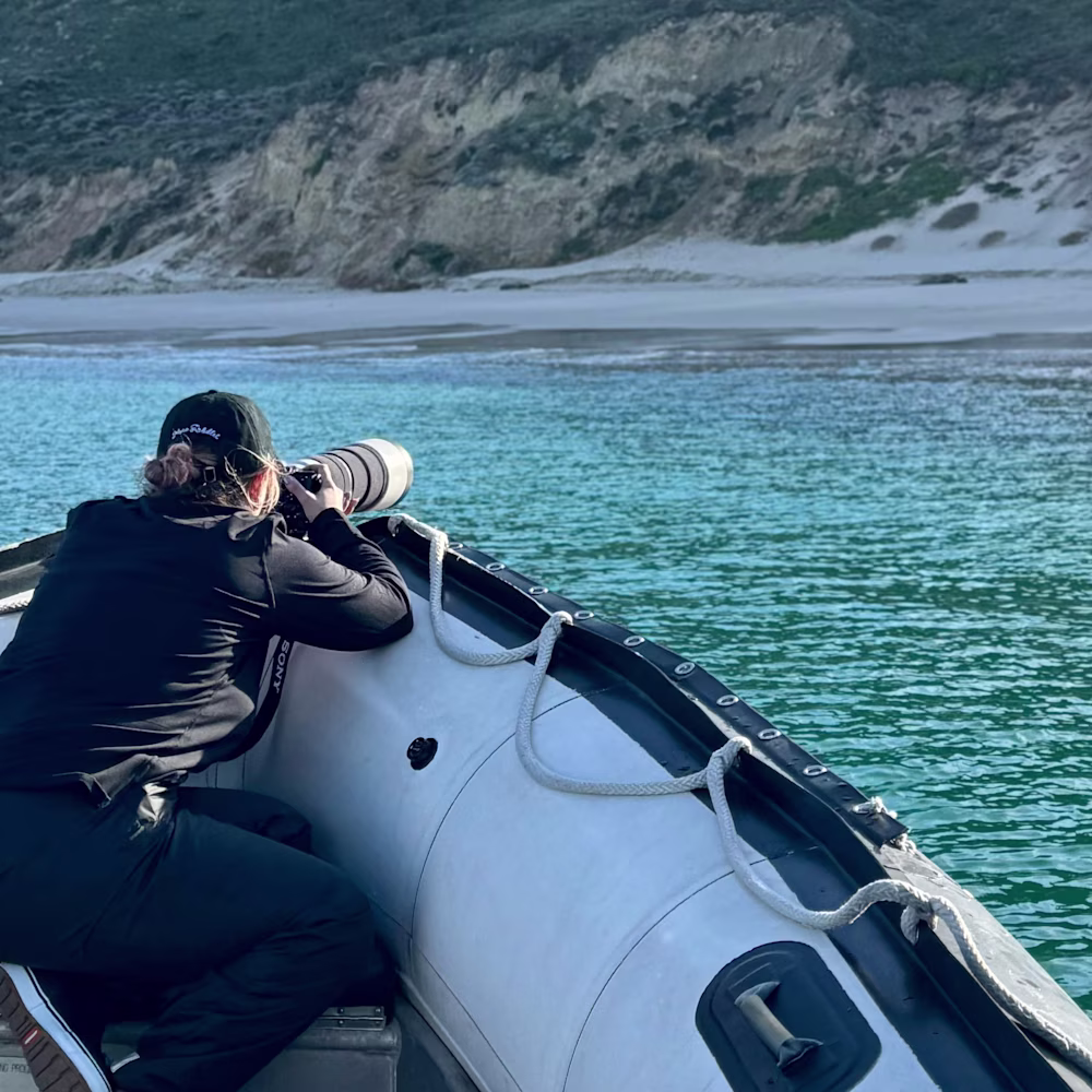 Alexis Noelle Galasso