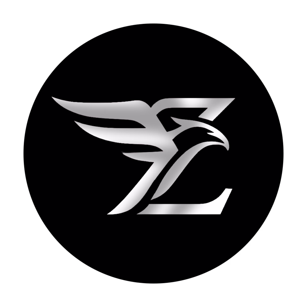 ZI Official