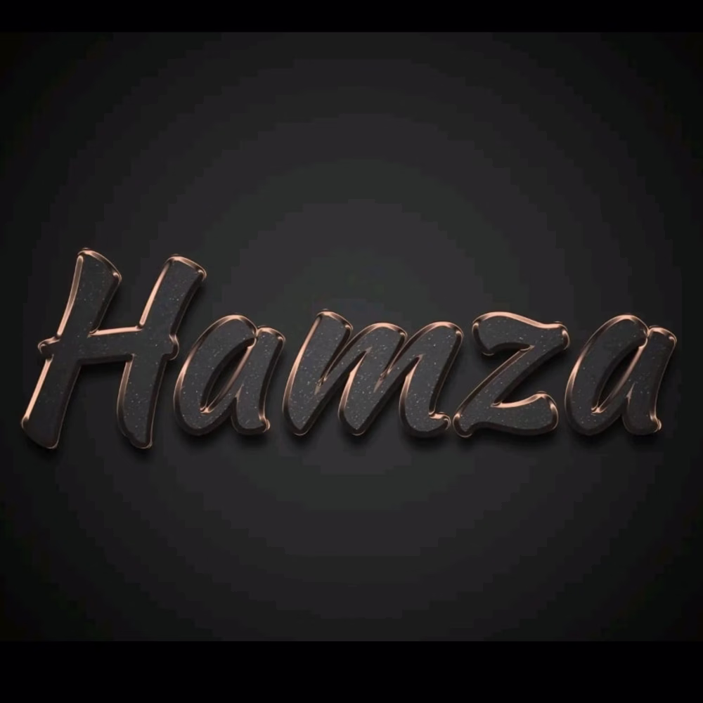 Ch Hamza  Saleem 