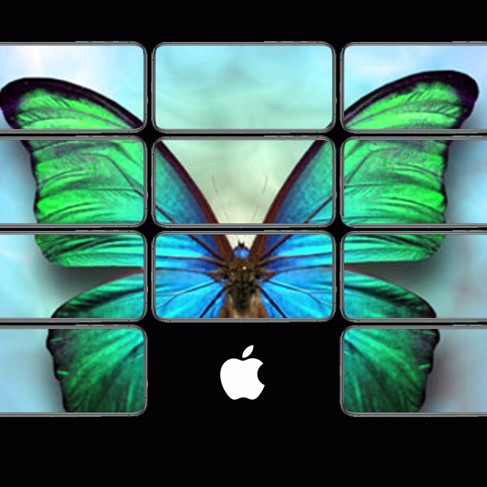 MAYANK BANSAL
