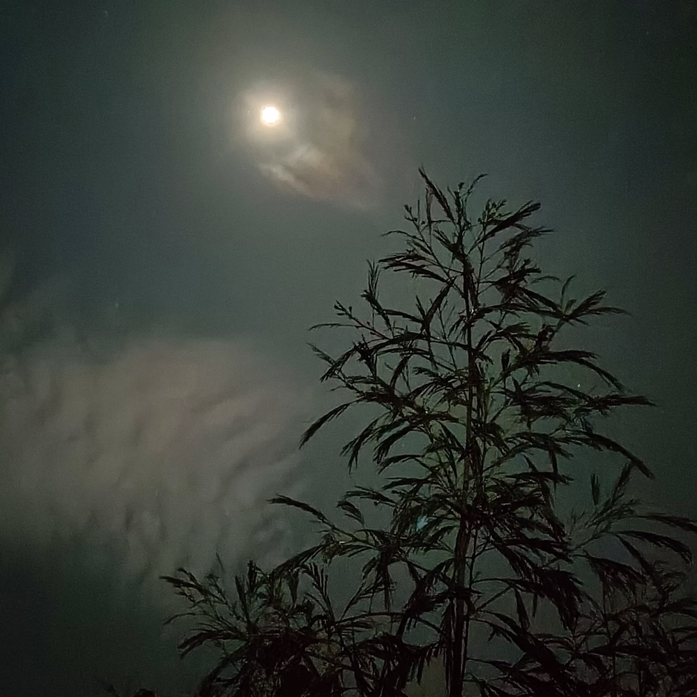 Govardhan Padmasali