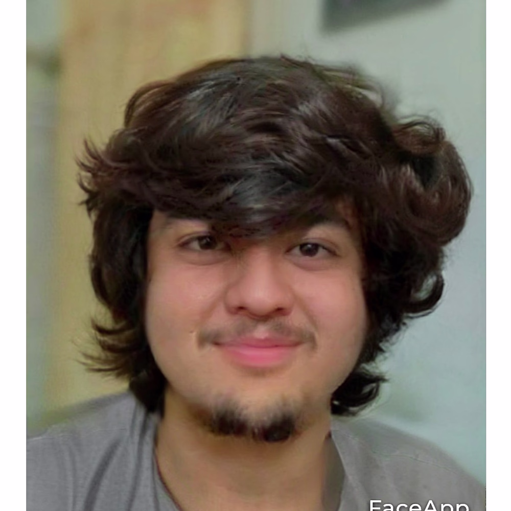 Ali Hamza