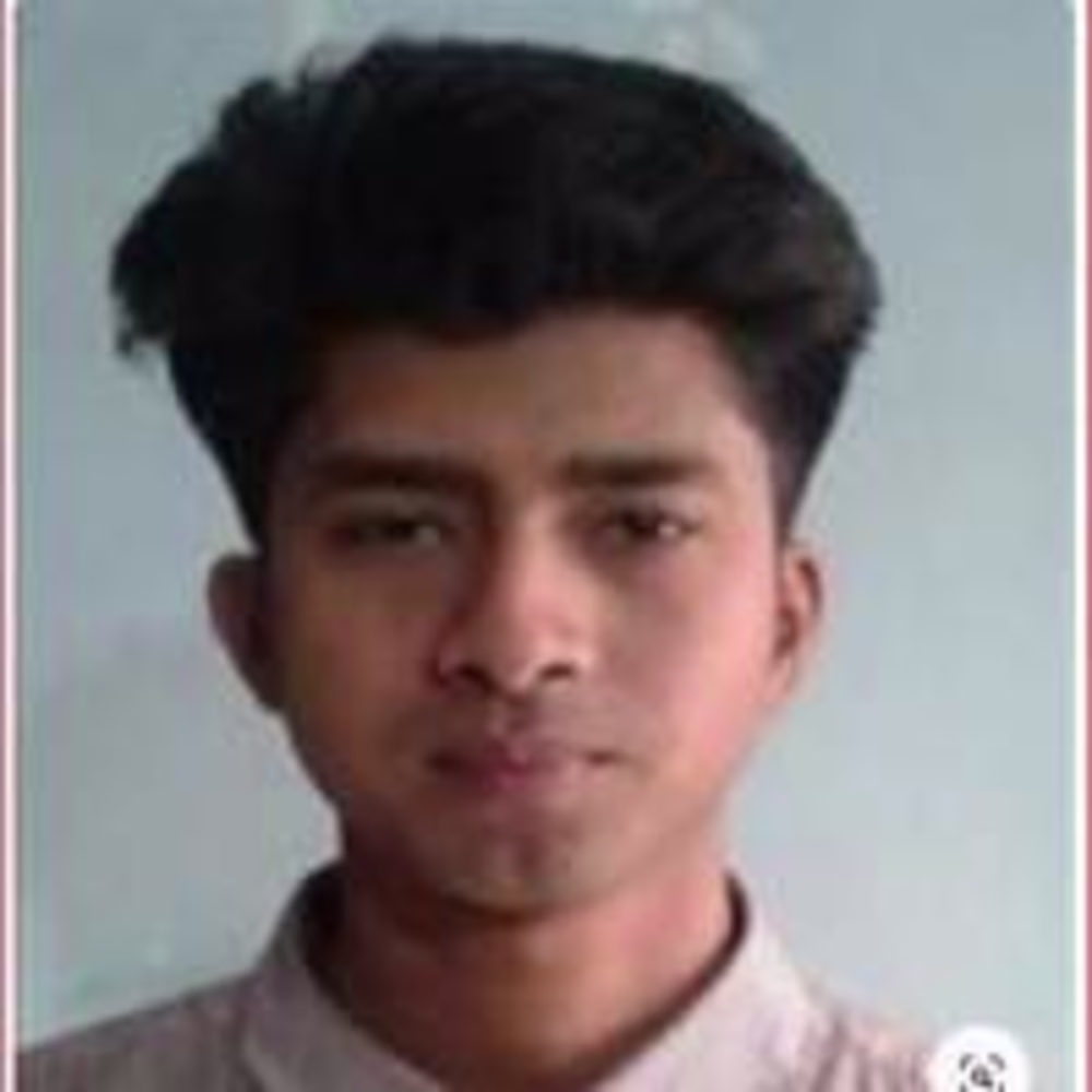 Mohammad Walid  Salehin