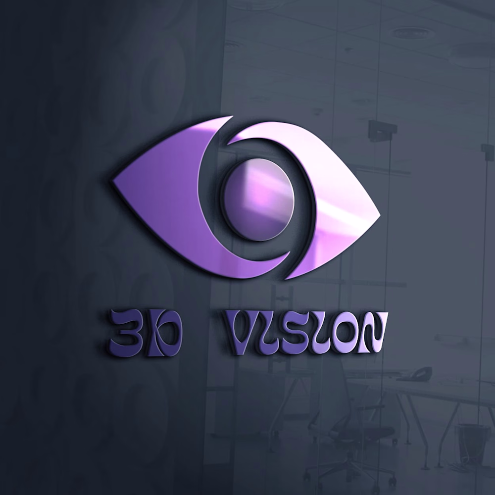 3D VISION