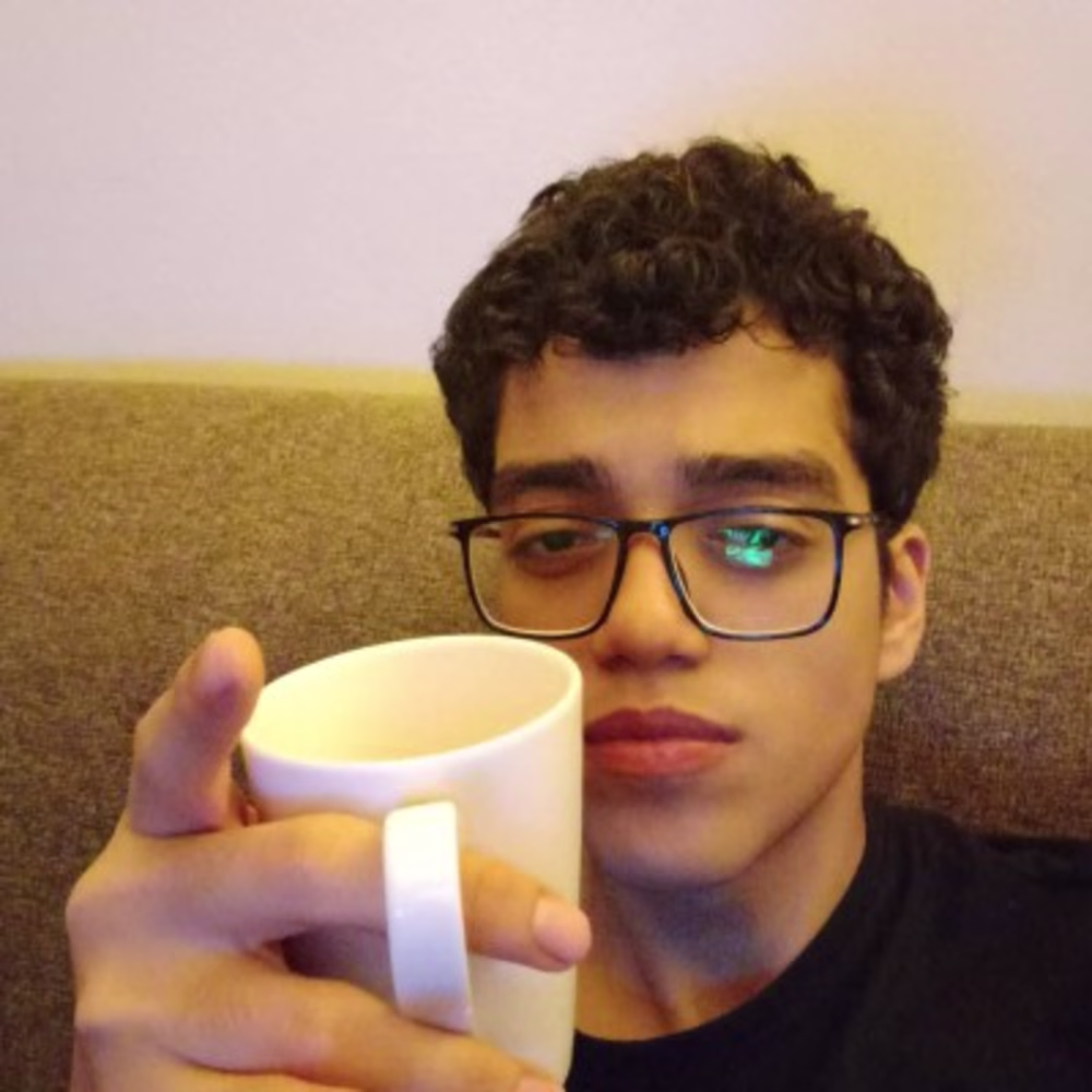 Kareem Nour-Eldeen