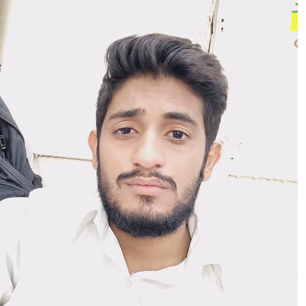 ameer salman