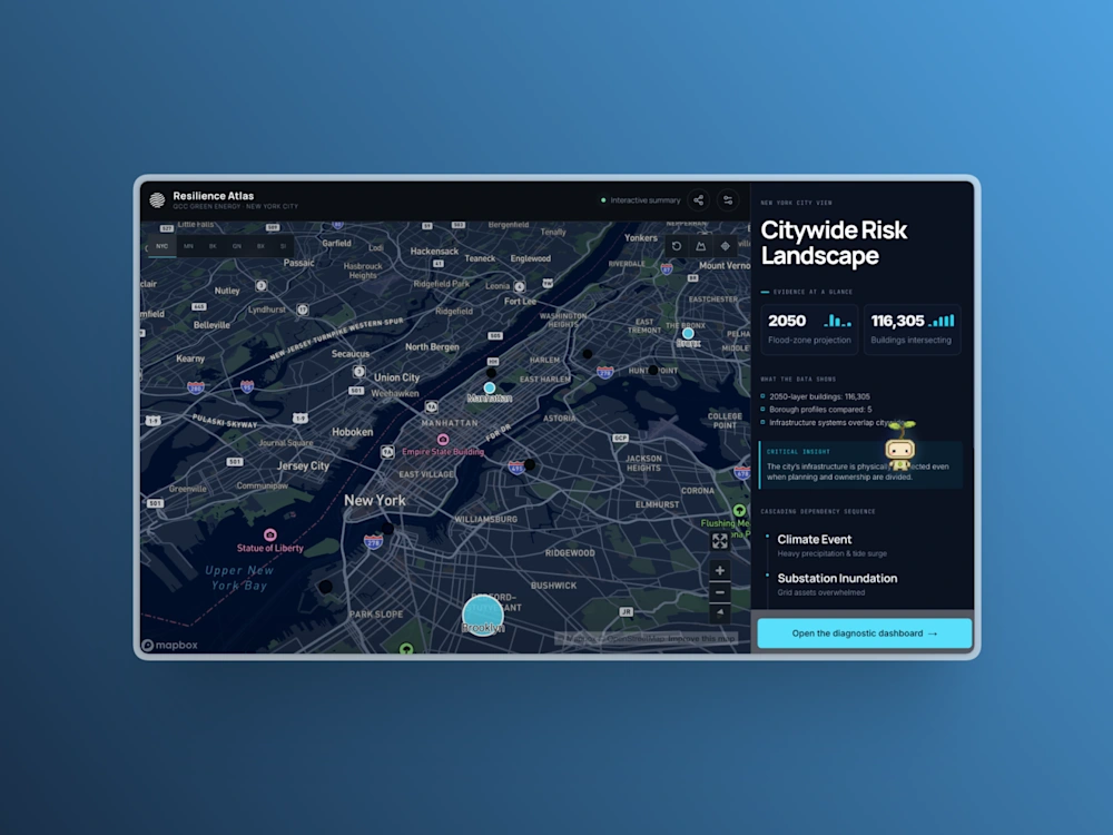 Resilience Atlas project preview