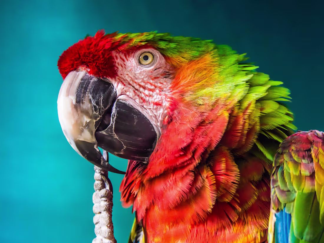 Cover image for Global Campaign List Builder