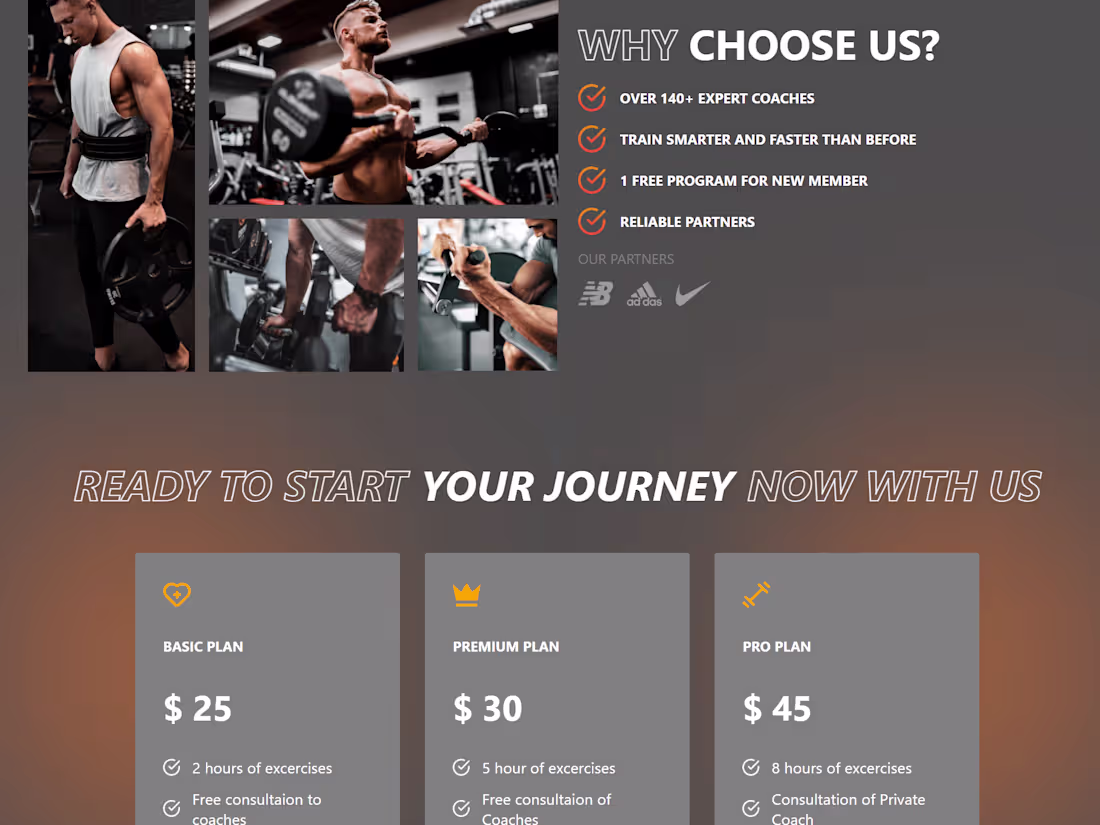 Cover image for The Fit Club