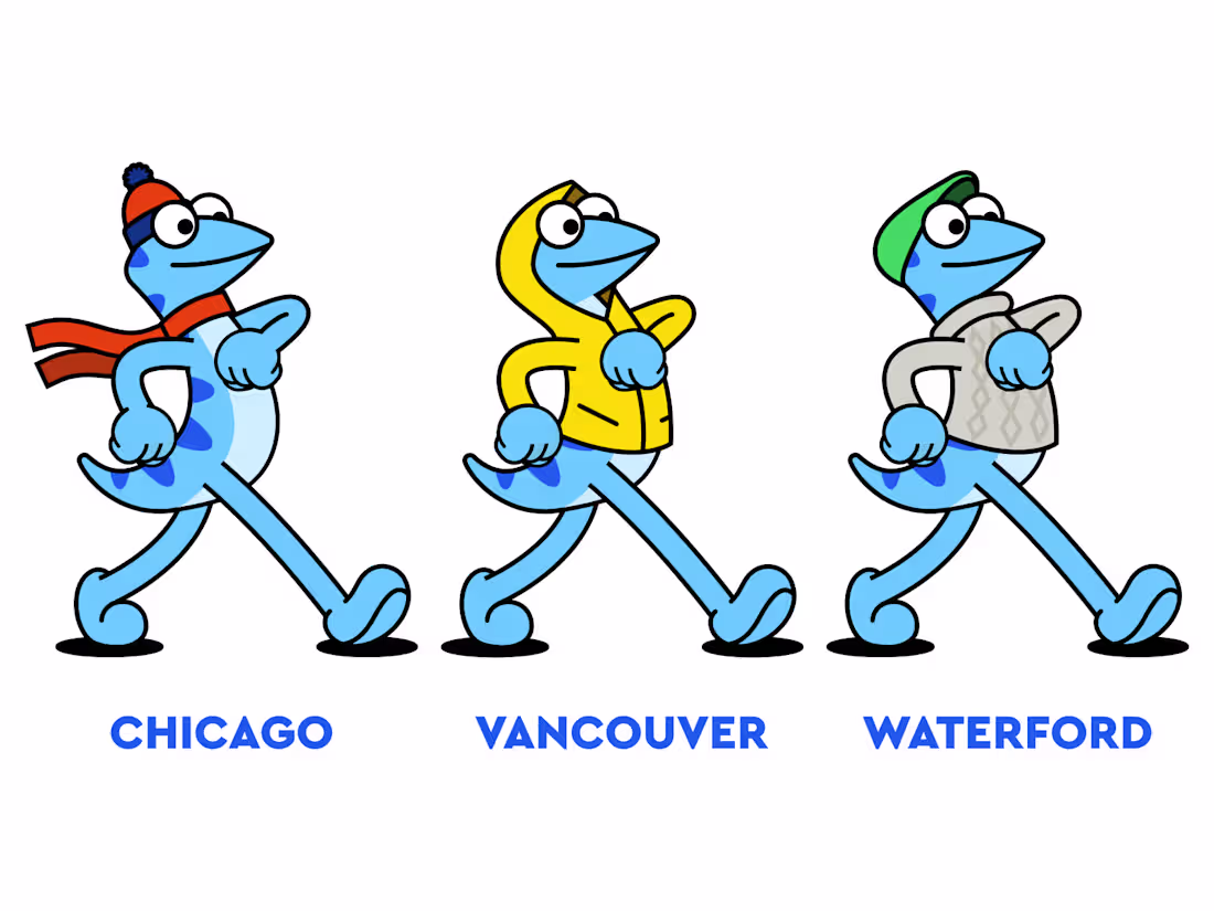 Cover image for Frames for Animated Character