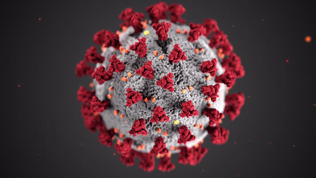Cover image for COVID-19 Vaccine Center Database