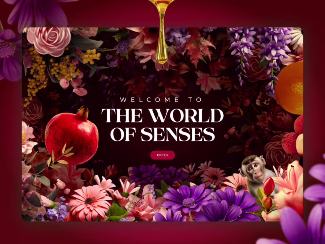 Cover image for Senses International - Interactive Webflow site